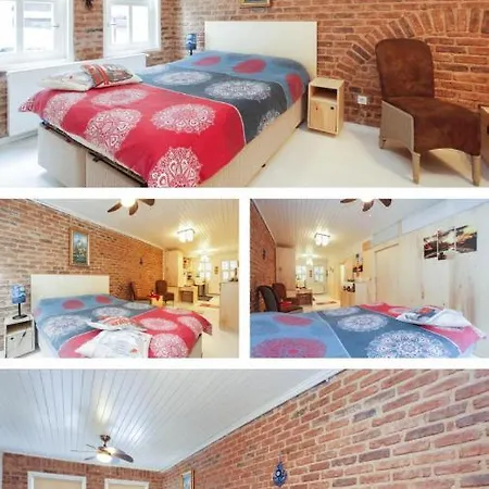 Newly Renovated Apartment-studio *